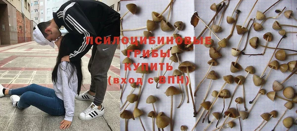 первитин Горно-Алтайск