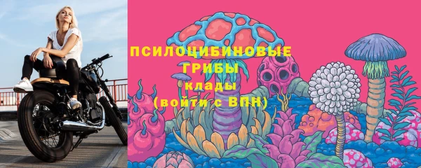 mix Горняк