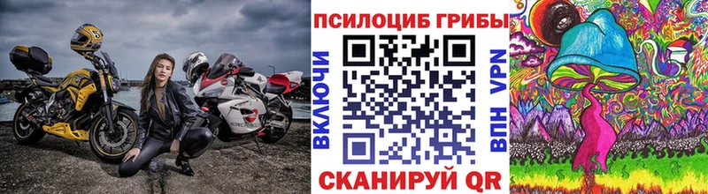 Псилоцибиновые грибы мухоморы  Купить закладки  Майский 