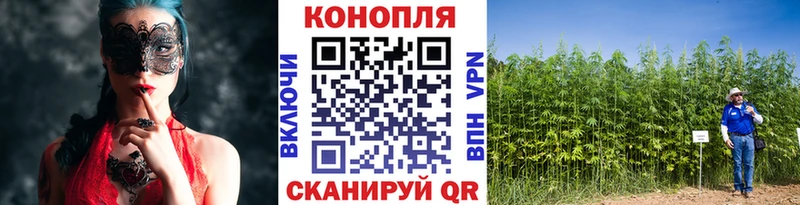 Купить где  Майский  Марихуана планчик 